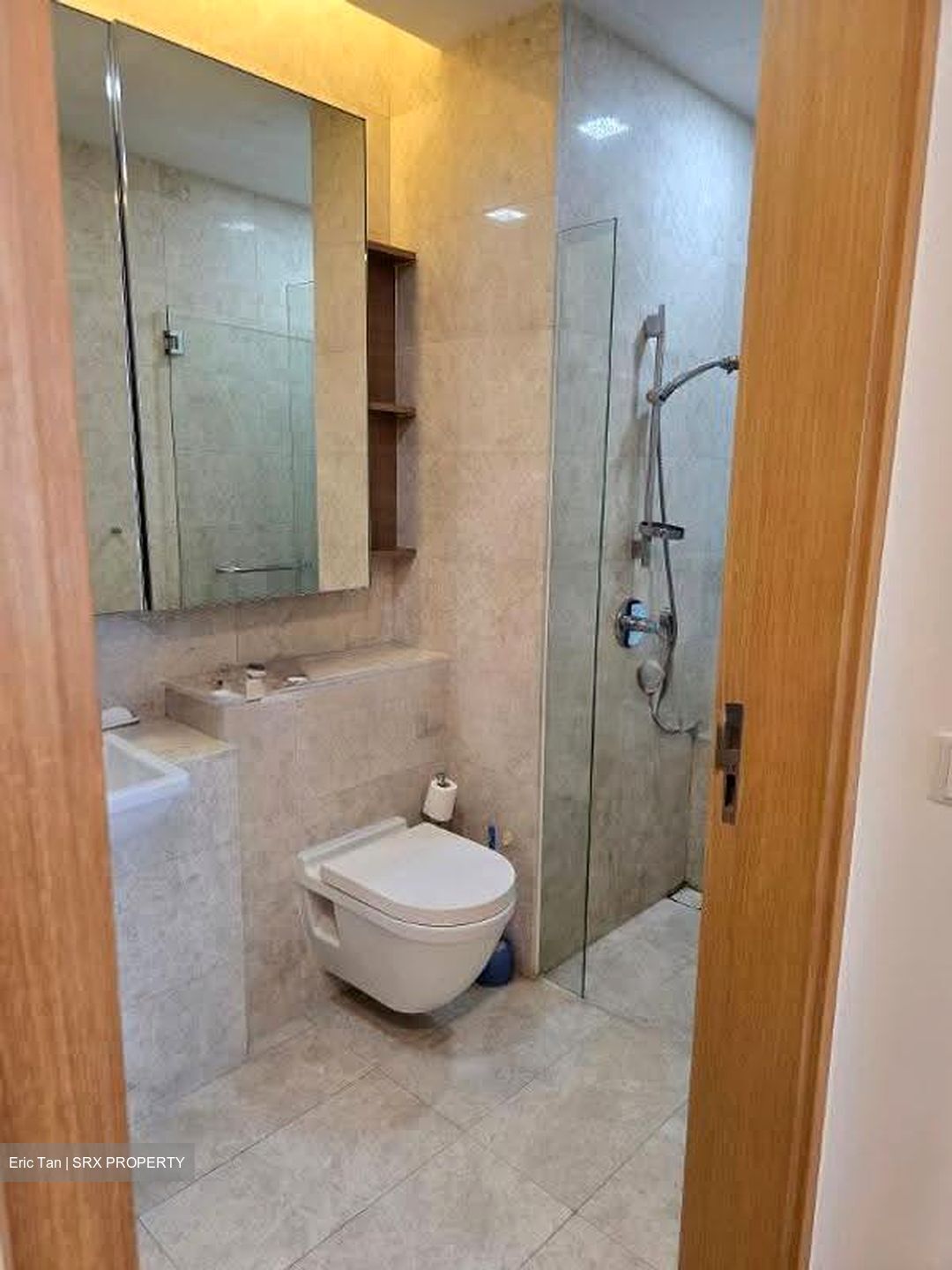 Soleil @ Sinaran (D11), Condominium #614662801